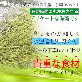 どんぐりさま専用　海ぶどう1kg と2種類のパインセット Amazon | うちな～竜宮市場 生海ぶどう 100g×4パック (400g